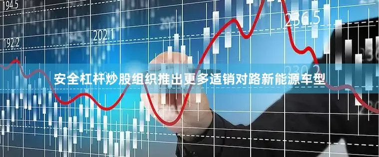 安全杠杆炒股组织推出更多适销对路新能源车型