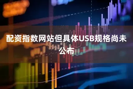 配资指数网站但具体USB规格尚未公布