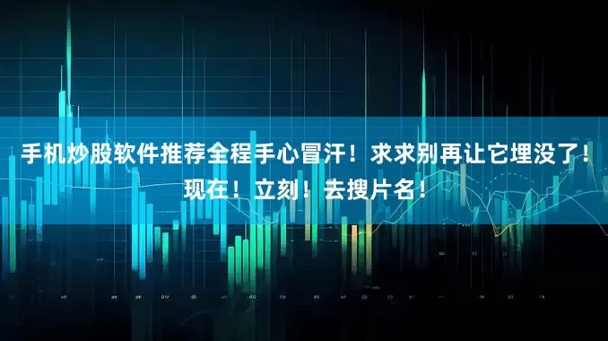 手机炒股软件推荐全程手心冒汗！求求别再让它埋没了！现在！立刻！去搜片名！