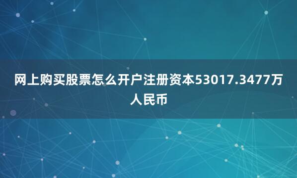 网上购买股票怎么开户注册资本53017.3477万人民币