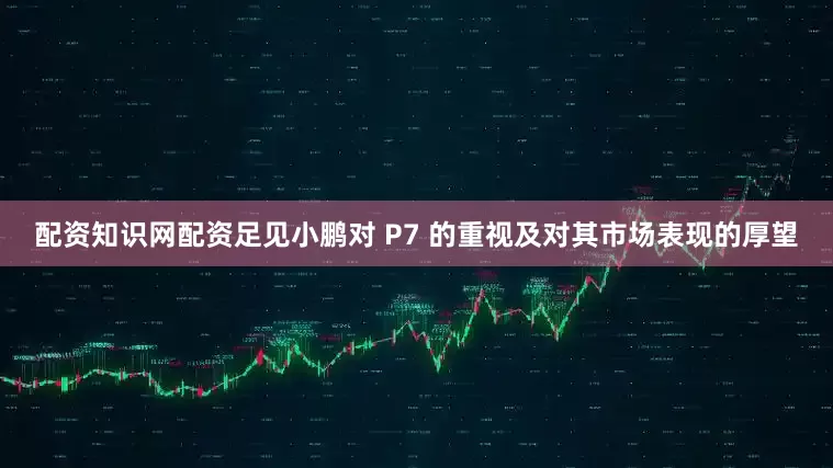 配资知识网配资足见小鹏对 P7 的重视及对其市场表现的厚望