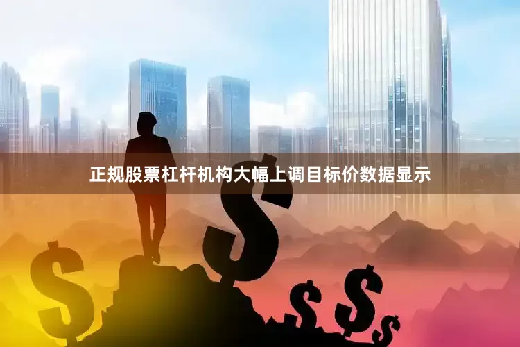 正规股票杠杆机构大幅上调目标价数据显示